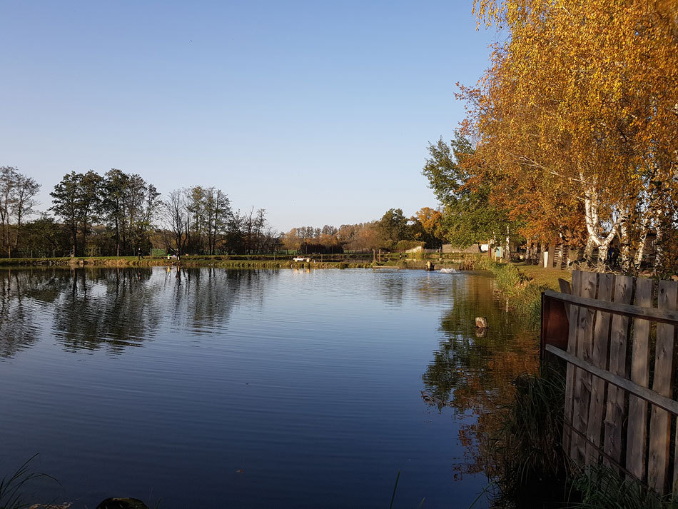 Goldener Herbst im Angelspark Oelzschau, Am Wochenende von 10:00-16:00 Uhr angeln
